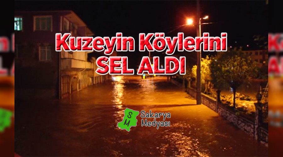KÖYLERİ SEL ALDI