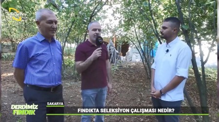 Fndkta verim ve kaliteyi arttracak almalar