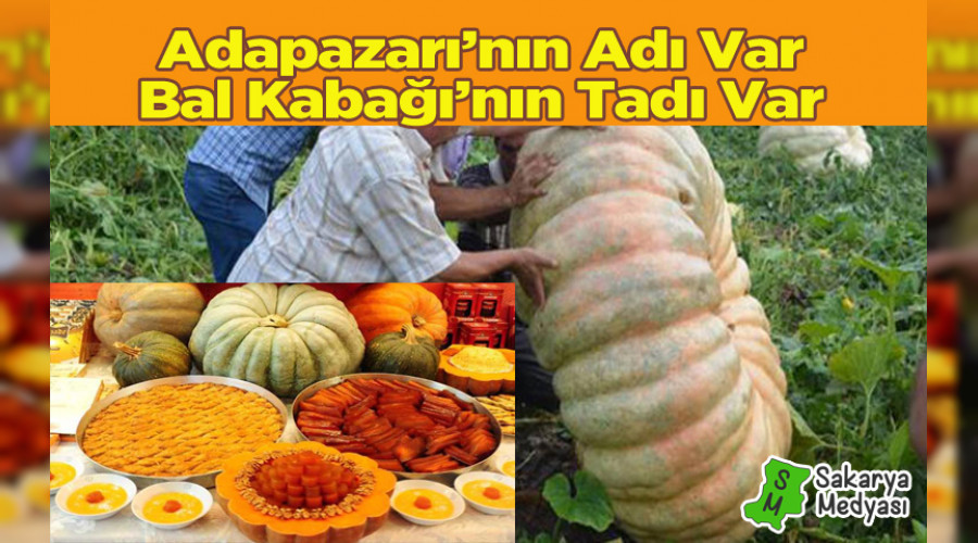 ADIYLA MEHUR TADIYLA MEHUR ADAPAZARI BAL KABAI