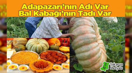 ADIYLA MEHUR TADIYLA MEHUR ADAPAZARI BAL KABAI