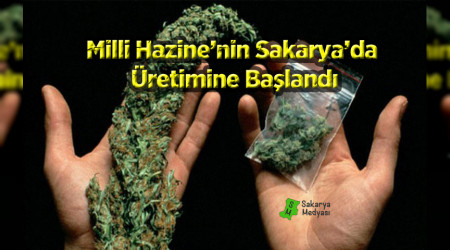 MLL HAZNENN RETMNE BALANDI