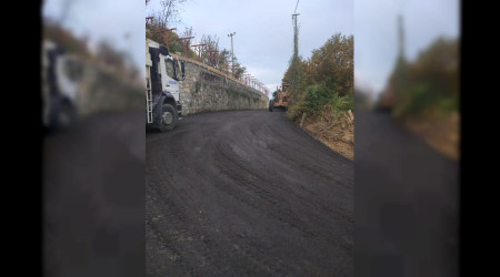 Yank Mahallesi'nde almalar Devam Ediyor