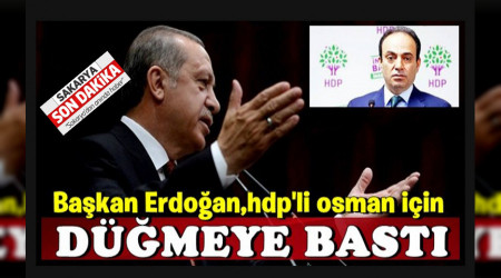 ERDOAN TALMAT VERD