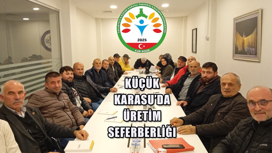 K���k Karasu�da "�retim Seferberli�i" D�nemi