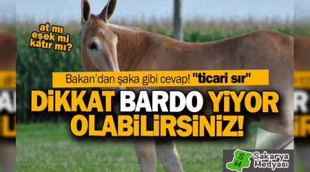 DKKAT' KATIRIN KUZEN "BARDO" YYOR OLABLRSNZ...