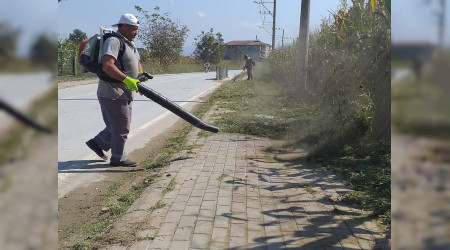 YOL ve PARKLARDAK YABAN OTLAR TEMZLENYOR
