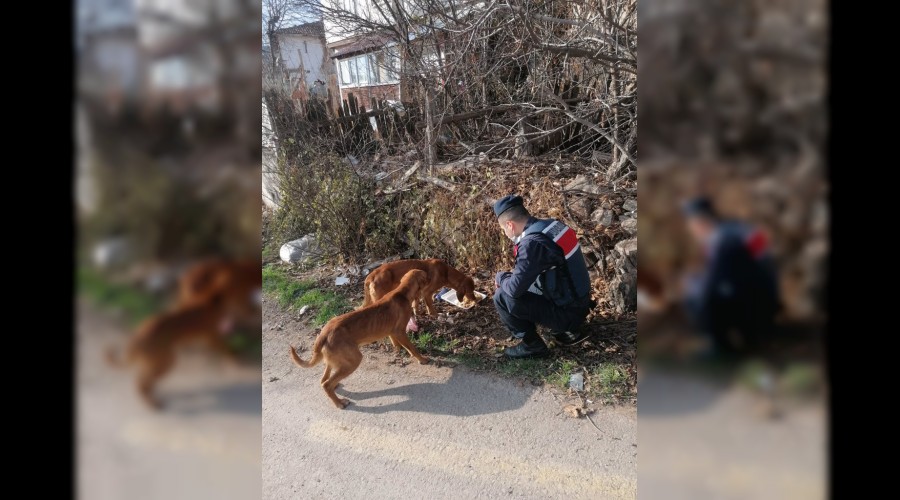 EN B�Y�K ASKER B�Z�M ASKER