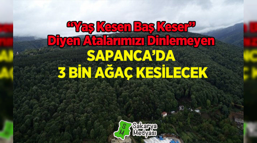 ARAP TURSTLERN ZEVK SEFASI N SAPANCA'DA 3 BN AA KESLECEK