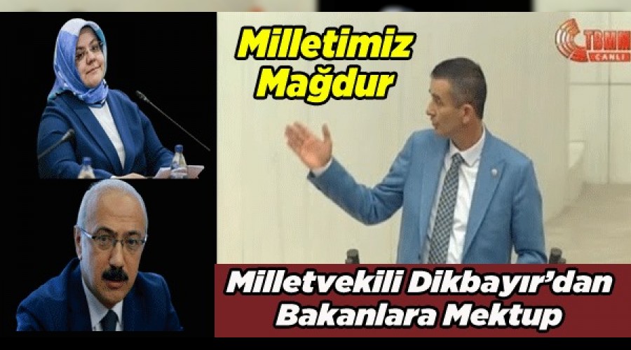 Dikbayr'dan, Ltfi Elvan ve Zehra Zmrt Seluk'a mektup