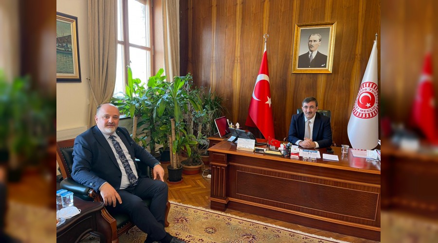 SARA; Klliye, Meclis ve Genel Merkezde 