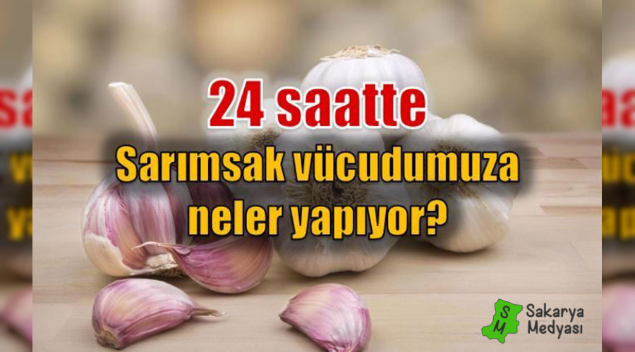 Sarmsak 24 saat iinde vcudumuza neler yapyor?