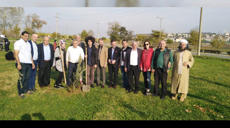 SAKARYA 15 TEMMUZ MİLLİ İRADE DERNEĞİ AĞAÇLANDIRDI
