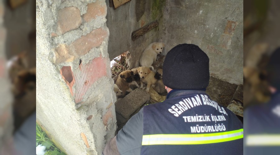 Serdivan’da Kar Mesaisi Devam Ediyor
